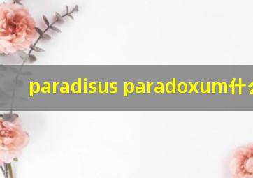 paradisus paradoxum什么意思